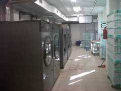img01511-20130415-1714