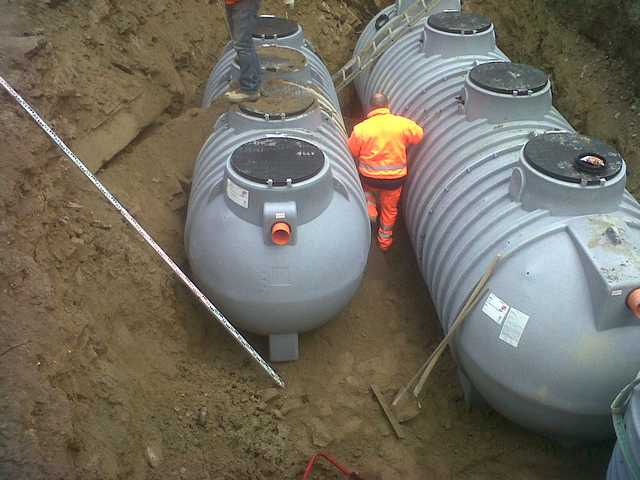 img01328-20130327-1652