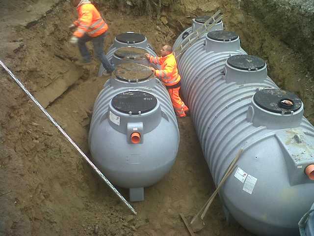 img01330-20130327-1652