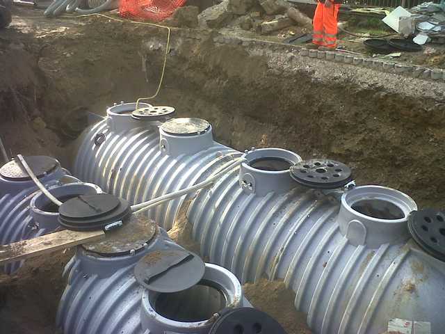 img01336-20130328-0913