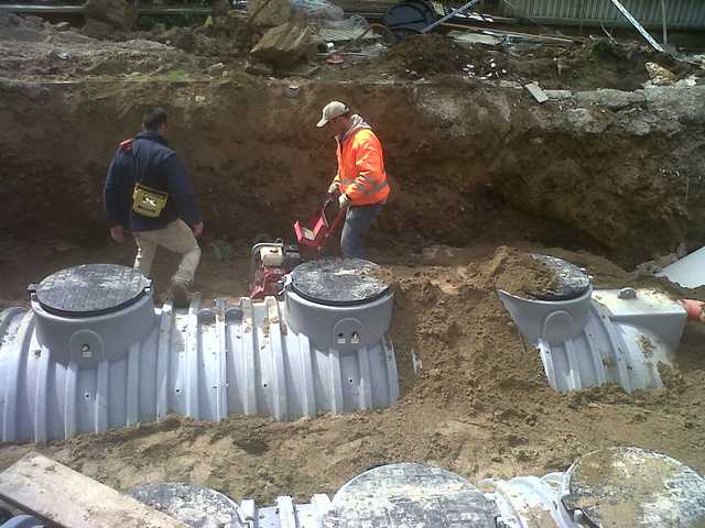 img01358-20130328-1130