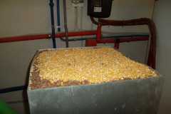 Image00008