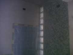 Image00007