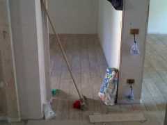 img02030-20130705-0940