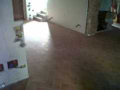 img02178-20130806-0856