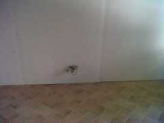 img02181-20130806-0902