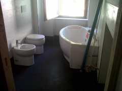 img02182-20130806-0943