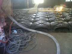 img01391-20130405-1052