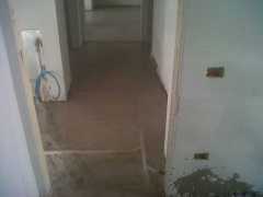 img01661-20130503-0844